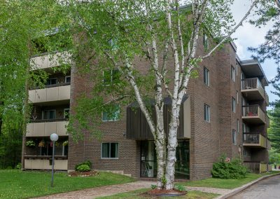 Muskoka Bass Rock Apartment-birch