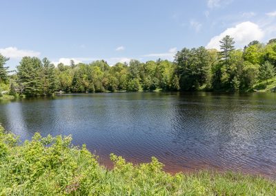 Muskoka Bass Rock Apartment-Muskoka River access